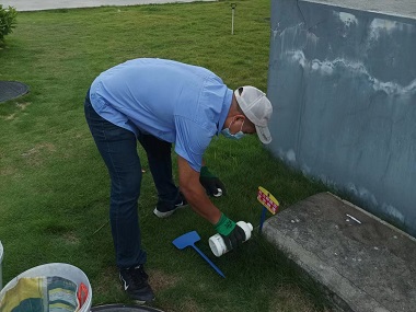 禅城红火蚁预防公司红火蚁对水库堤坝的危害