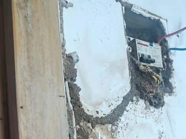 顺德验收白蚁机构家里的白蚁是怎样来的